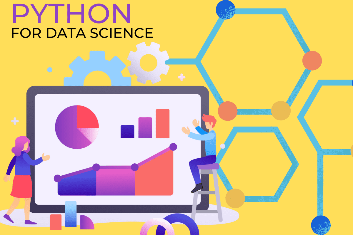 data-science-through-python-rise-institute