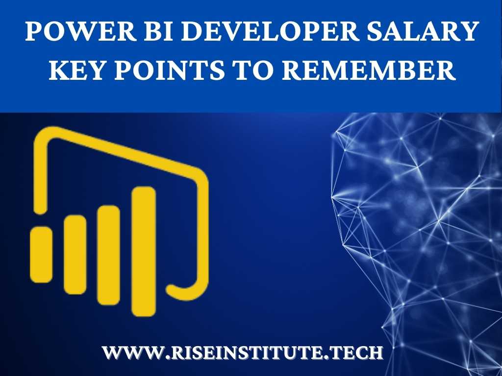 Power BI Developer Salary Key Points To Remember Rise Institute